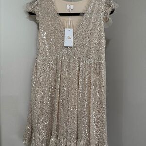 Sparkling Sequin Dress